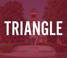 Triangle_Tile-1